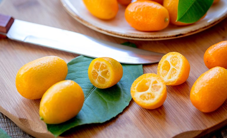 Mandarinat kumkat – Frutat e arta për diabetikët