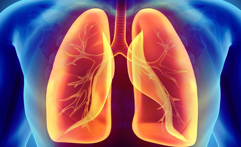 6 Mënyra Natyrale për të Pastruar Mushkëritë – Këshillat e Sakta