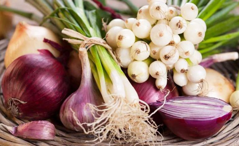 Qepë, hudhra, uthull molle – Si të përgatisni antibiotikun natyral