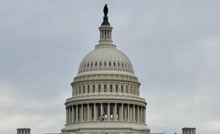 Senati bllokon projektligjet për të ndalur shitjen e armëve Izraelit