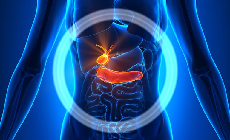 Mjekimet Natyrale Kundër Gurëve të Tëmthit