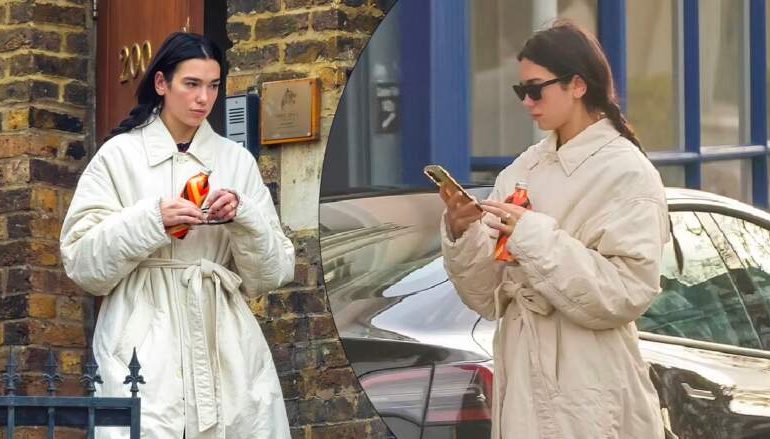 Dua Lipa tregon unazën e fejesës pas propozimit romantik nga Callum Turner