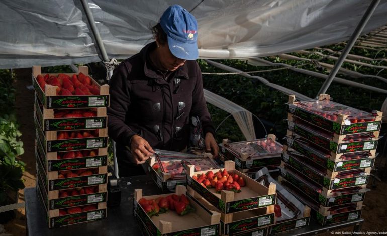 Rritet mungesa e krahut të punës në Evropë për shkak të plakjes së popullsisë! Një në katër të punësuar është emigrant, ja sektori më i “preferuar”