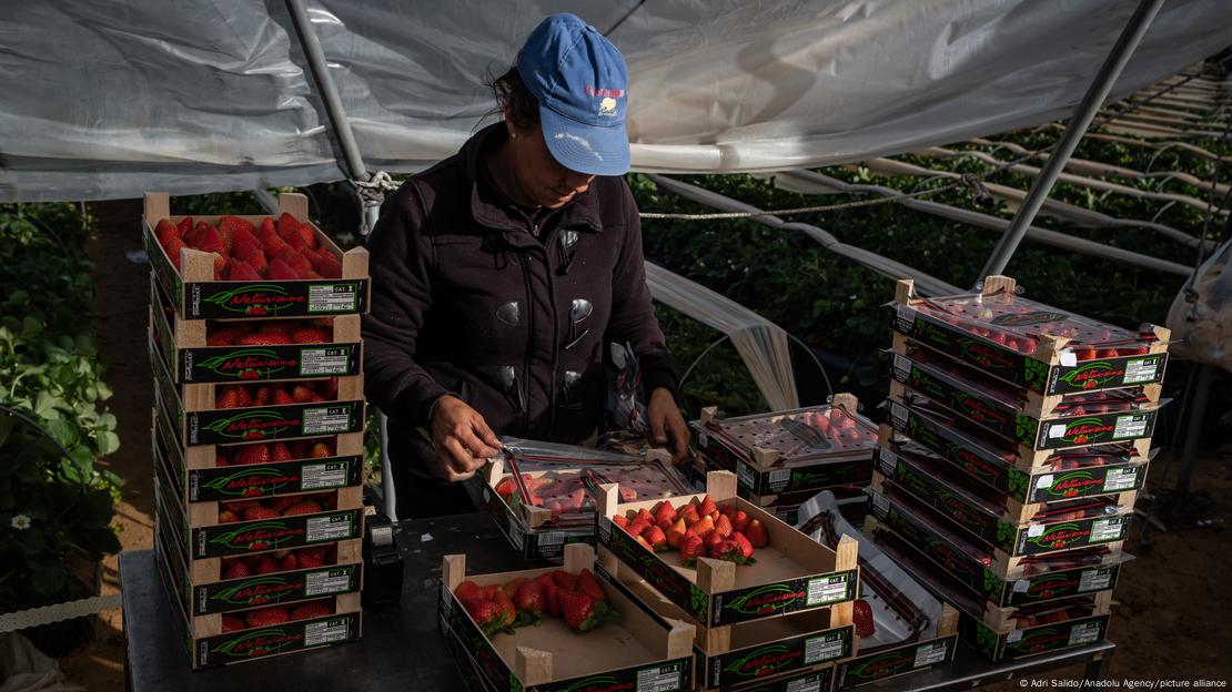 Rritet mungesa e krahut të punës në Evropë për shkak të plakjes së popullsisë! Një në katër të punësuar është emigrant, ja sektori më i “preferuar”