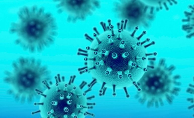 “Doli nga laboratori i Wuhan”/ Hetimi i Kongresit amerikan mbi Covid-19: Jo virus natyral, e konfirmojnë standardet e shkencës