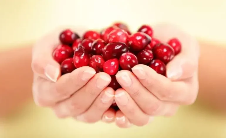 5 Mënyra Natyrale Për të Luftuar Infeksionet e Traktit Urinar