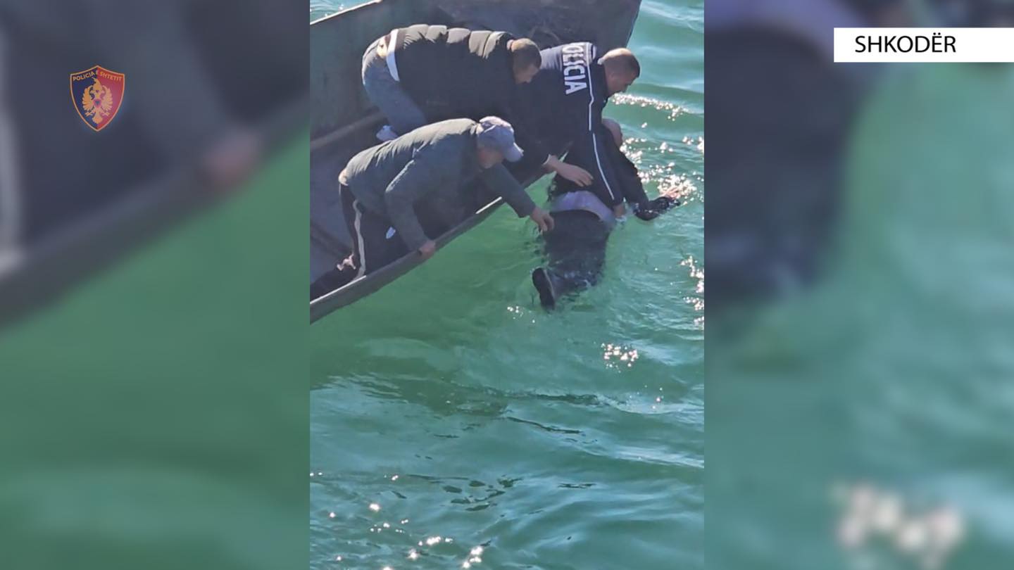 I moshuari tenton t’i japë fund jetës duke u hedhur nga ura e Bahçallëkut në Shkodër, 83 vjeçari shpëtohet nga uniformat blu