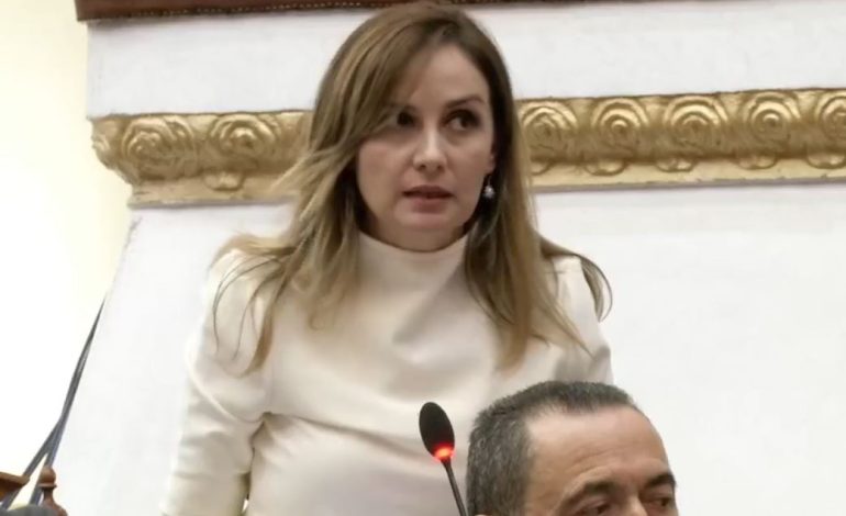 Opinioni i Komisionit të Venecias/ Jorida Tabaku: Vendimi i jep të drejtë opozitës! Parlamenti nuk mund të përdoret për të ofruar mbrojtje…