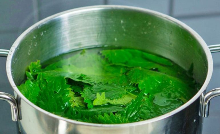 Kura e Saktë me Lëng Hithre për Tiroiden – Si ta Përgatisni dhe Përdorni