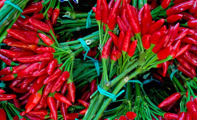 Speci Djegës – Si ta Përdorni për Shëndetin e Zemrës