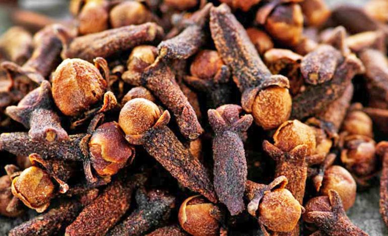 Farat e Karafilit – Si t’i Përdorni Pas Çdo Vakti Kundër Aciditetit