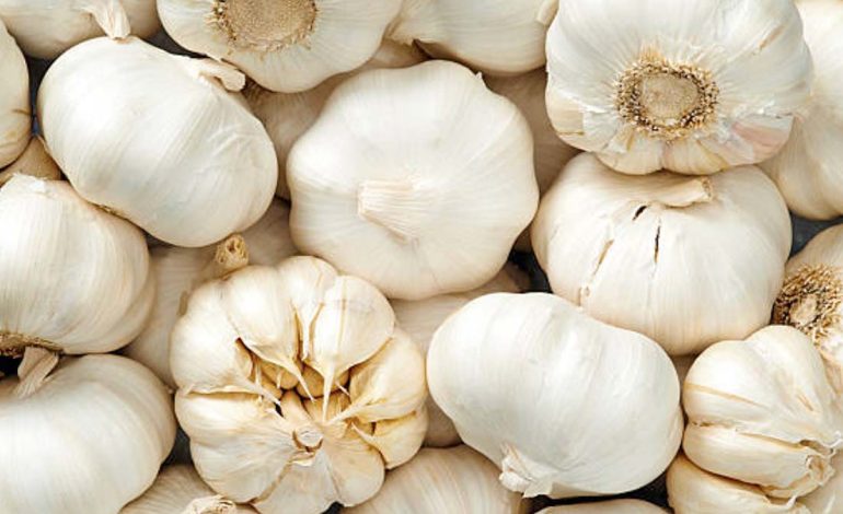 Tri Mënyra të Thjeshta për Përdorimin e Hudhrës Kundër Gripit