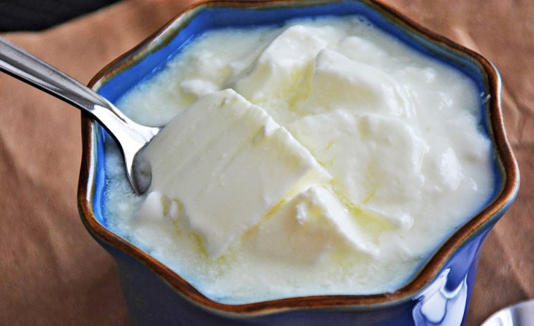 Përse Duhet të Hash Kos Çdo Ditë – Shëndet Gjatë Gjithë Vitit