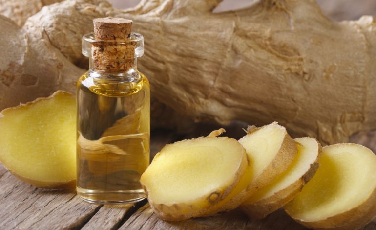 Vaji i Xhenxhefilit – Si të Përgatisni Kurën e Përjetësisë