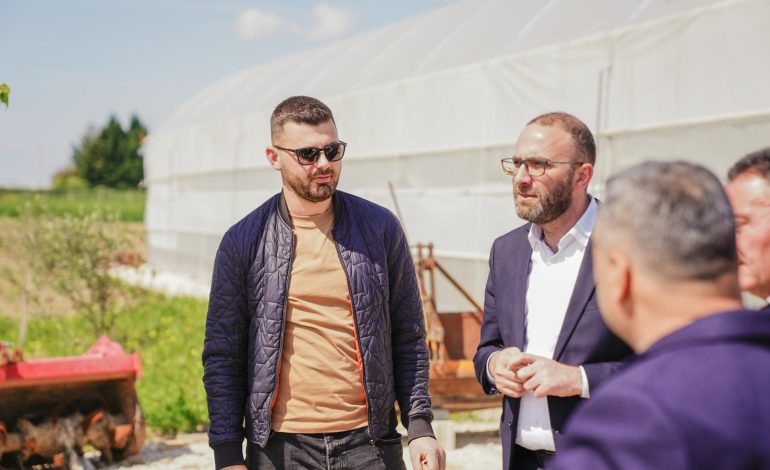 Bardhi në fshatrat e Roskovecit! Fermerët ankohen për investime: Nuk kemi treg, na i marrin produktet për 5 lekë