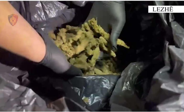 EMRI/ Shpërndante lëndë narkotike në doza me qëllim shitjen, arrestohet 21-vjeçari në Lezhë, shpallet në kërkim bashkëpunëtori