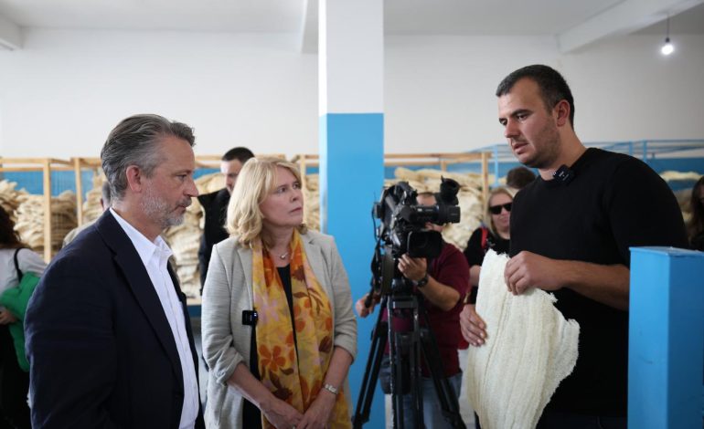 BE-ja dhe Suedia mbështesin sipërmarrjen dhe inovacionin në Shqipëri përmes EU4Innovation